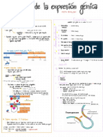 Resumen Reg Exp Gen + Mutacion