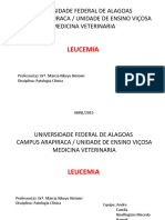 Patologia ClÃ-nica - Leucemia
