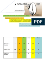 Estructura Del Grano de Gramíneas y Distribución de Nutrientes