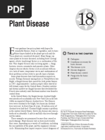 18 Plant Disease