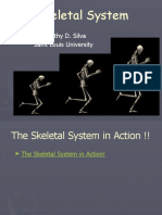 2 Skeletal System (Simple)