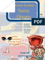 1c Sense Organs (Simple)