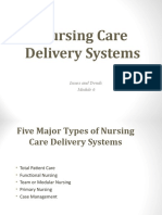 Nursing Care Delivery Systems: Issues and Trends