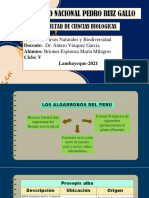 Los Algarrobos Del Perú