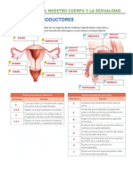 Solucionario Aparatos Reproductores