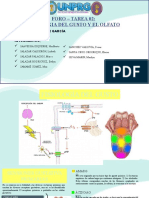 Foro Tarea 2