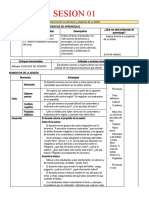 SESIONES DE COMUNICACION