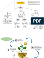 Mapa Conceptual Ciclico