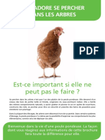 Brochure Vie Poule Pondeuse