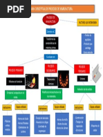 MAP PROC DE MANUF