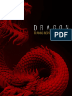 Dragon Bonus Workouts