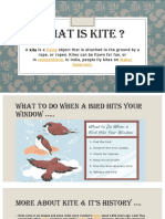 What Is Kite 123
