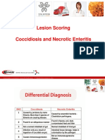 Lesions Scoring