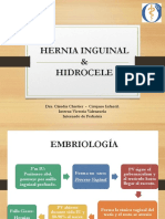 378314173-Hernia-Hidrocele-Mioooo