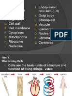 7th 2b Cells and Functions