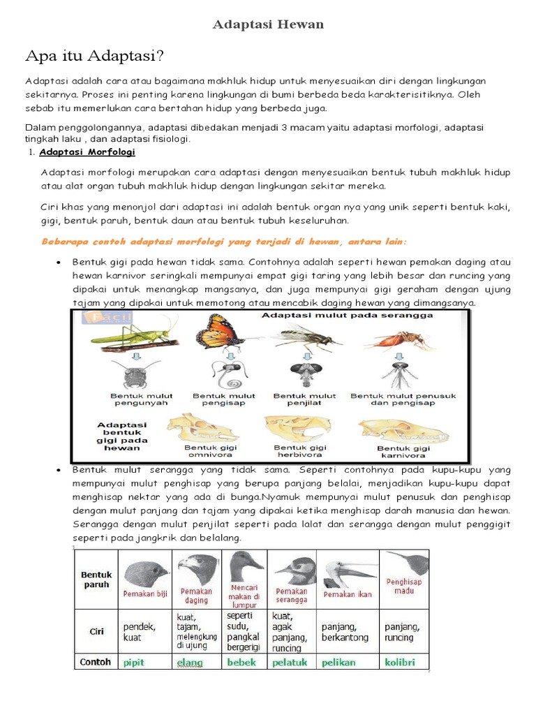 Adaptasi Hewan Pdf