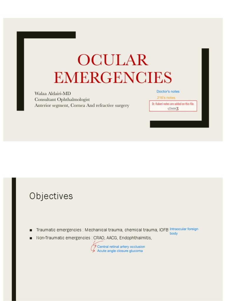 Ocular Emergencies 3 PDF Cornea
