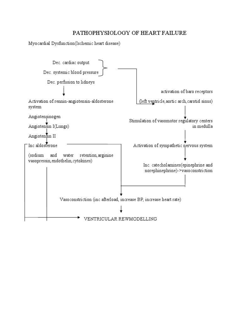 Pathophysiology of Heart Failure Explained | PDF