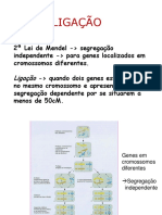 Aula 4 - Ligação Gênica