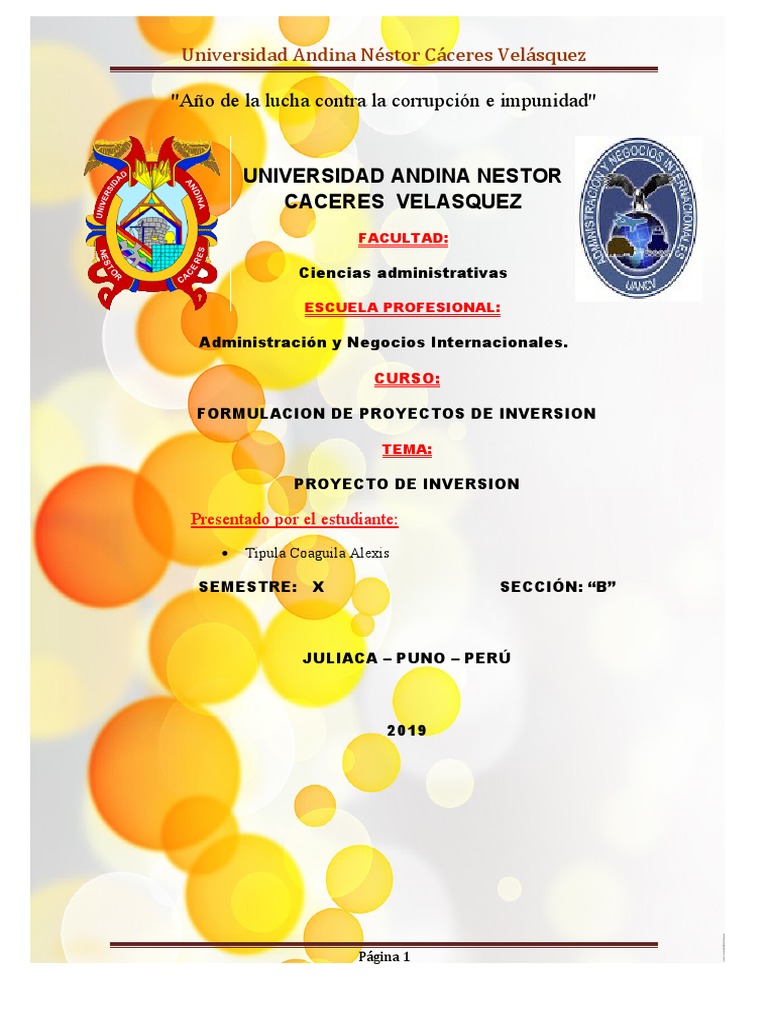 Proyecto de Inversion | PDF | Marketing | Tasa interna de retorno