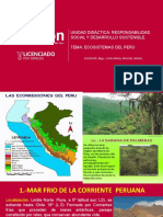 Ecosistemas Del Peru - Sesion 3.5