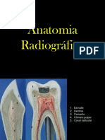 Anatomia radiográfica dos ossos faciais