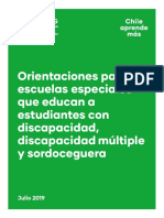 Orientaciones_EEspeciales