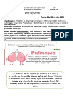 2°a-B Guia Ciencias Partes Cuerpo