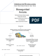 Bioseguridad Avícola 