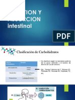 Absorcion Gastrointestinal