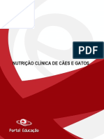 Nutricao Clinicade Caese Gatos