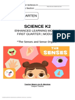 K2 SENSES AND SENSE ORGANS