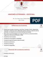 Anatomía Veterinaria Zootecnia