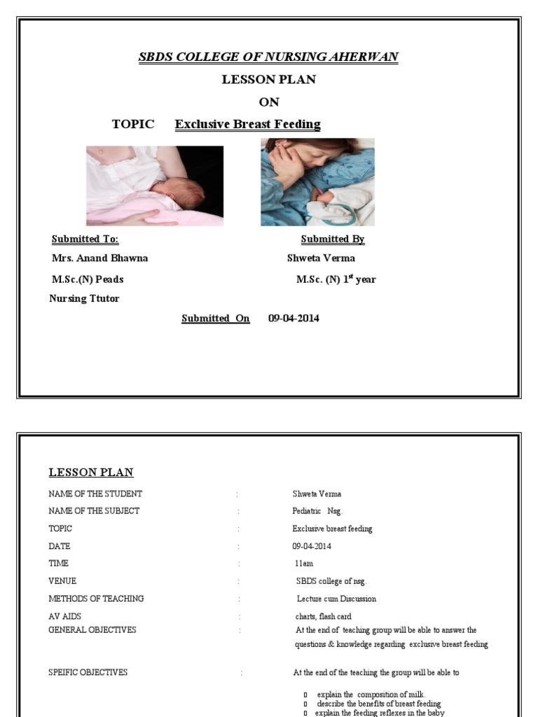 Lesson Plan BREASTFEEDING PDF Breast Milk Breastfeeding