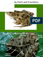 Frog Body and Parts