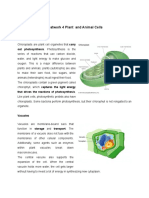 Q1 Seatwork 4 Plant and Animal Cells