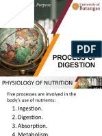 THE Process of Digestion