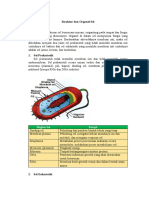 Struktur Dan Organel Sel