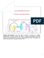 G24-2017 Oxidative Phosphorylation