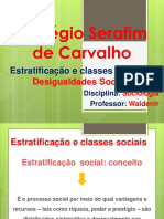 Estratificação e Classes Sociais