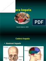 Ppt Head Injury Real-converted