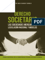 Derecho Societario Virtual