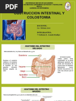 Ángulo de Treitz: Anatomía y Ubicación | PDF
