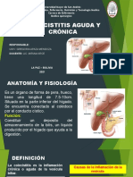 Colecistitis Aguda - Cronica