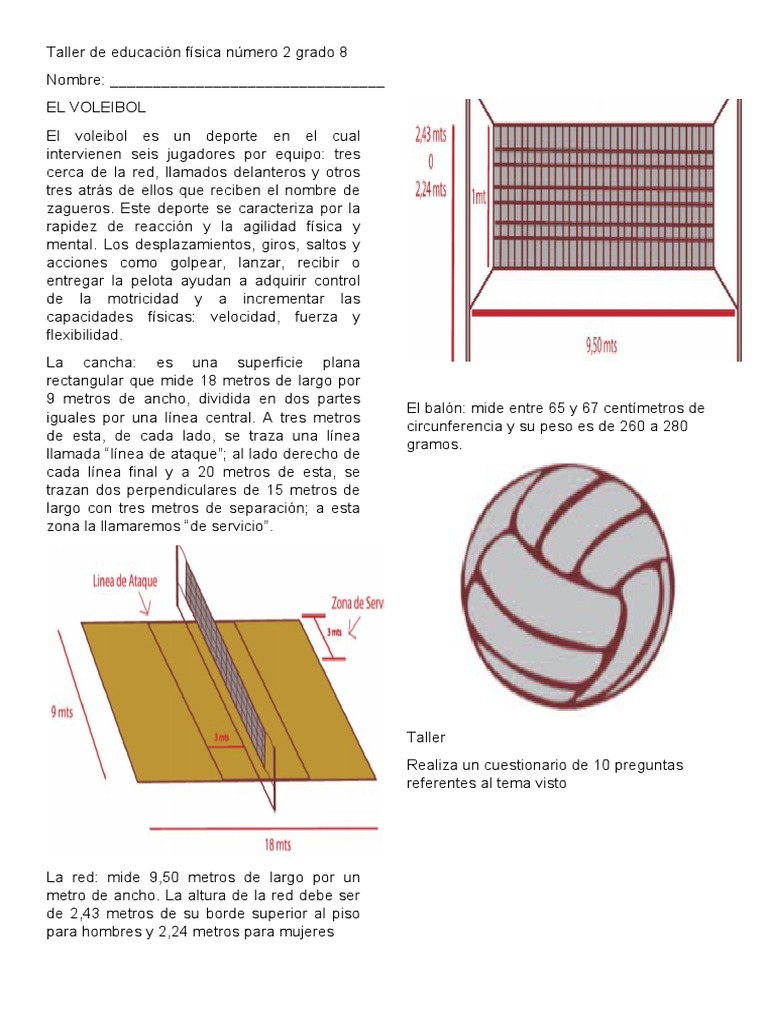 REGLA PARA COMPROBAR LA ALTURA DE LA RED DE VOLEIBOL - Topgim