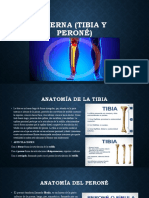 Anatomia de La Pierna y Proyecciones Radiograficas