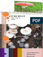 Fy BSC Botany: Paper - I, Unit - II Fungi
