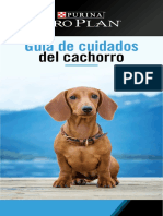 Guía de Cachorro Digital US (Español)