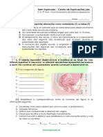 C.1.1 - Ficha de Trabalho - Funcionamento Do Sistema Reprodutor