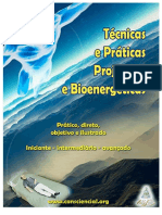 Técnicas e Práticas Projetivas e Bioenergéticas